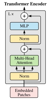 An overview of Transformer Architectures in Computer Vision
